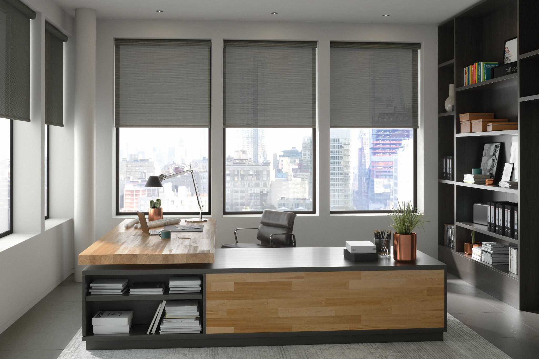 Motorized Shades